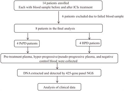 Genomic alterations associated with pseudoprogression and hyperprogressive disease during anti-PD1 treatment for advanced non-small-cell lung cancer